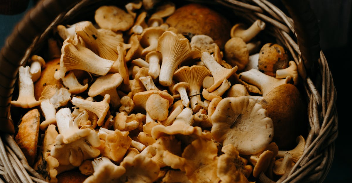 A close-up shot of fresh Chanterelle mushrooms in a woven basket, perfect for culinary uses.