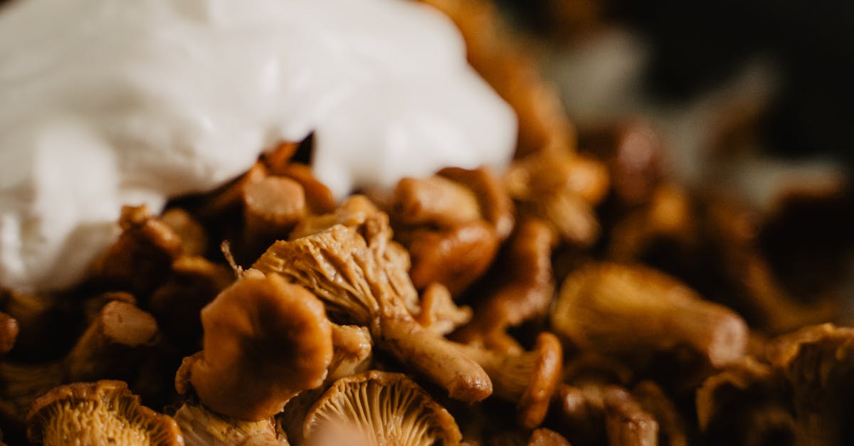 Close-up of golden chanterelle mushrooms with cream in a skillet, perfect for a vegan dish.